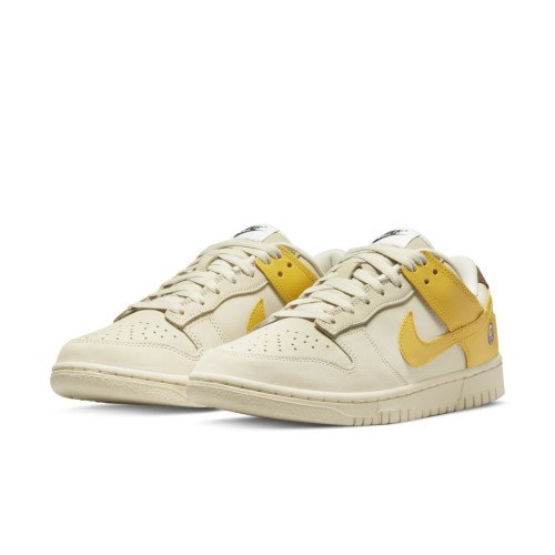 Nike Dunk Low DR5487 100