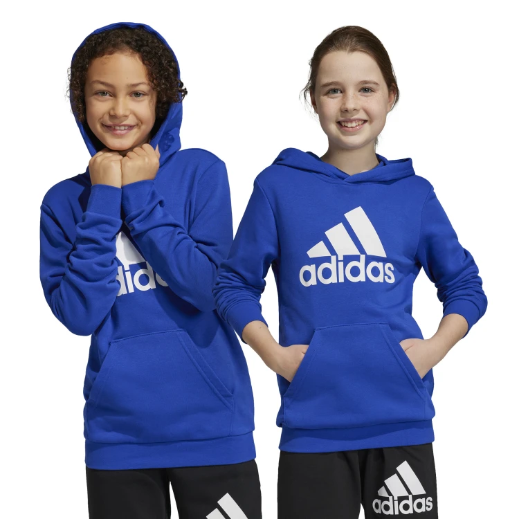 bluza adidas U BL HOODIE IC6834 