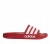 klapki adidas Adilette Shower AQ1705