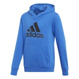 bluza adidas Essentials Logo Hoodie Junior DJ1751