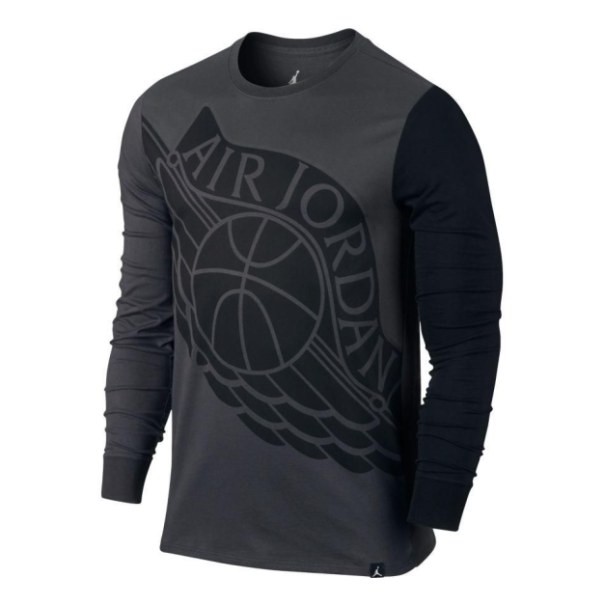 koszulka Air Jordan Wings Longsleeve 834482 010