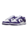 Nike Dunk Low Retro DD1391 104