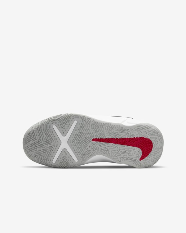 Nike Team Hustle 10 Flyease (GS) DD7303 005