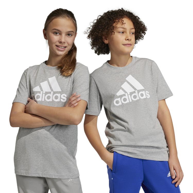 koszulka adidas Essentials Big Logo HR6379