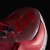 BB8179_FTW_photo_detail-1_white.jpg