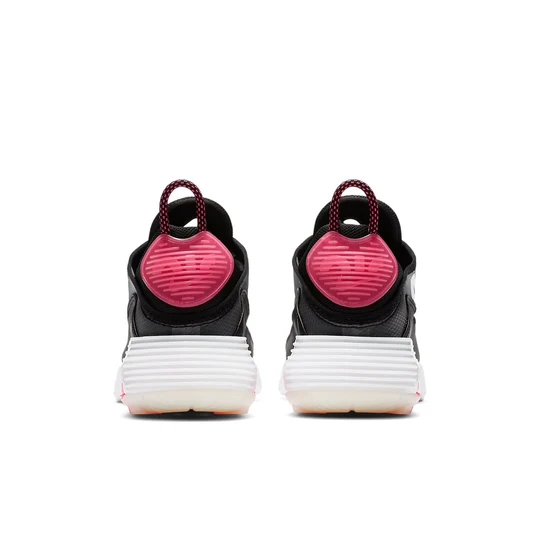 Nike Air Max WMNS 2090 DA4284 001