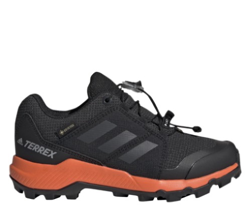 adidas Terrex GTX BC0598