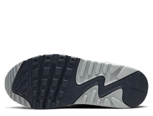 Nike Air Max 90 Ltr GS CD6864 105