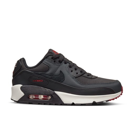 Nike Air Max 90 GS LTR CD6864 022