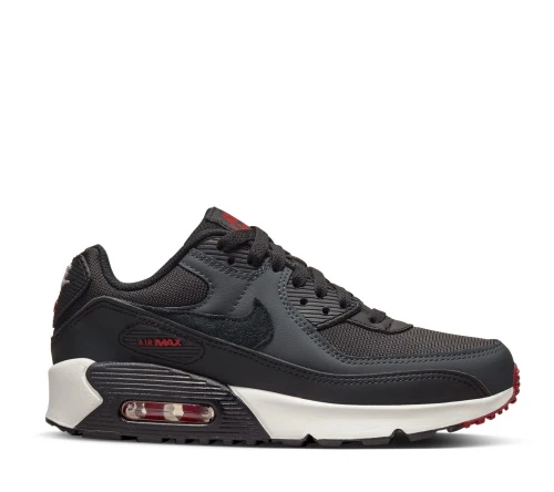 Nike Air Max 90 GS LTR CD6864 022