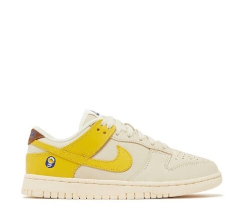 Nike Dunk Low DR5487 100