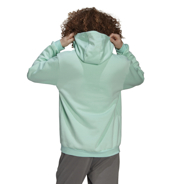 bluza adidas Entrada 22 HC5081