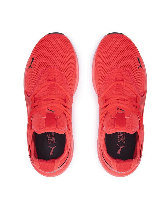 Puma Softride Enzo Evo 377048 02