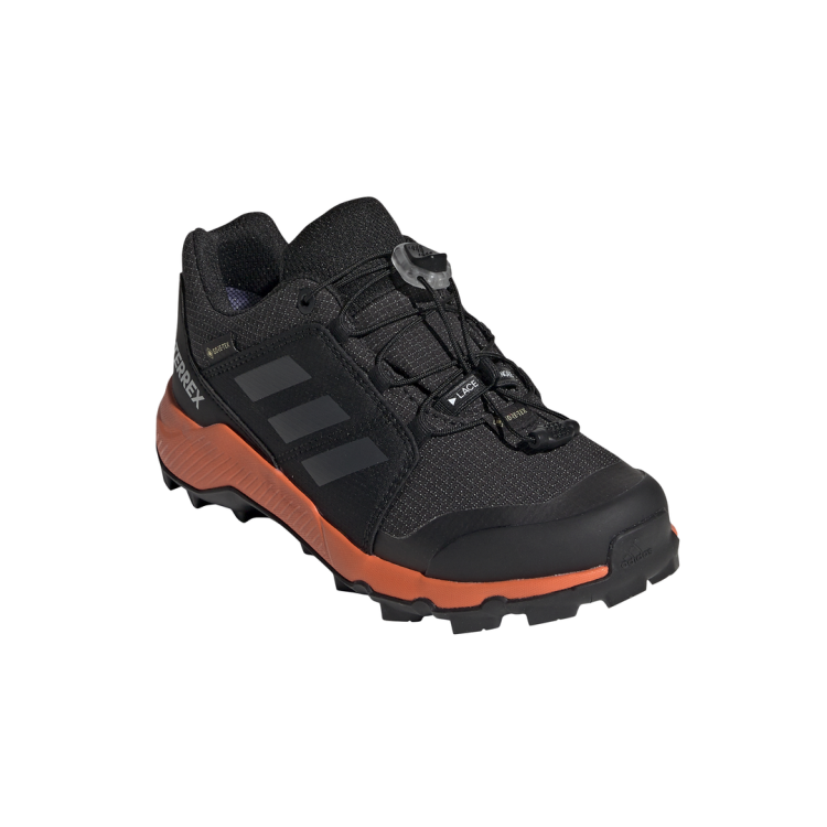 adidas Terrex GTX BC0598