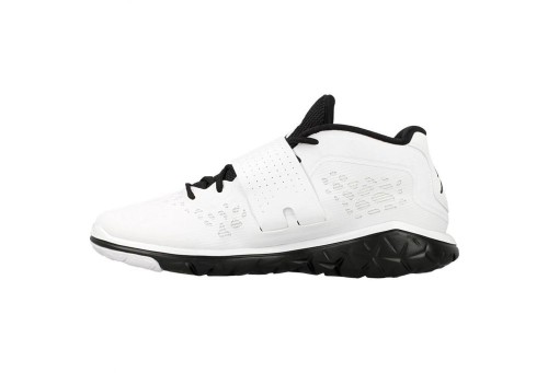  buty Nike Jordan Flight Flex Trainer 2 M 768911 011