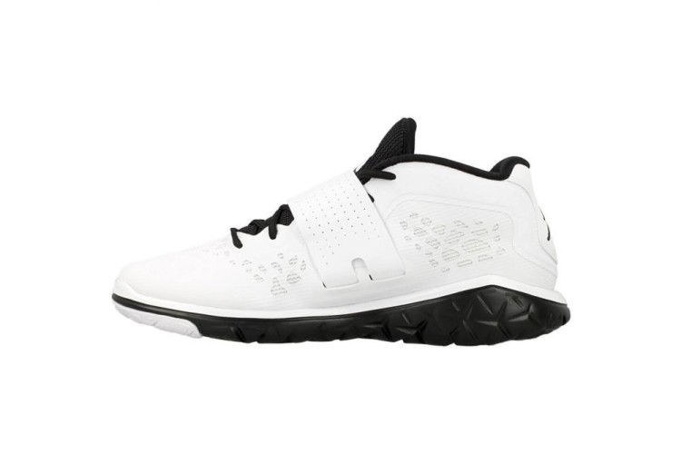  buty Nike Jordan Flight Flex Trainer 2 M 768911 011