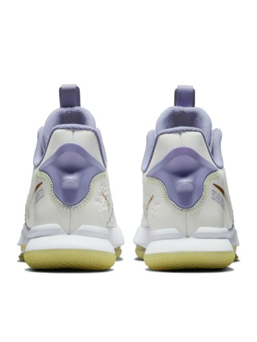  Nike Lebron Witness 5 CQ9380 102