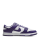 Nike Dunk Low Retro DD1391 104
