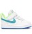 Nike Court Borough Low 2 BQ5453 105