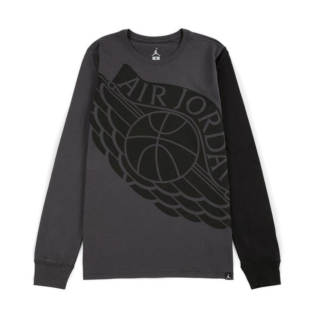 koszulka Air Jordan Wings Longsleeve 834482 010