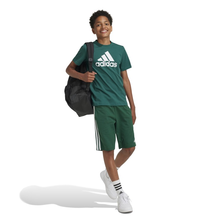 koszulka adidas Essentials Big Logo IX9569