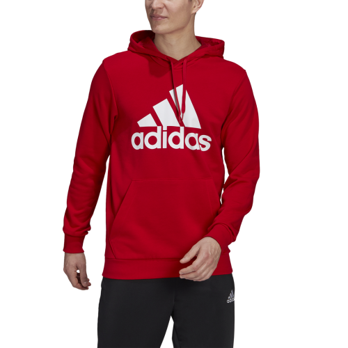 Bluza adidas Essentials Big Logo GV0249 