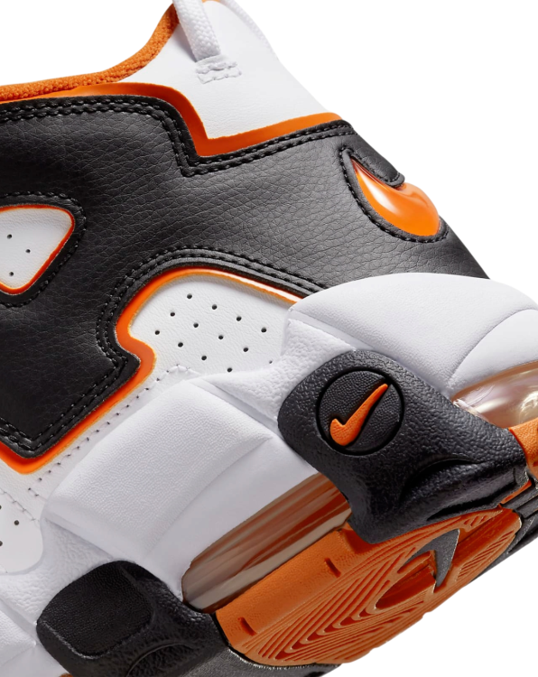 Nike Air More Uptempo '96 FJ4416 200