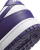 Nike Dunk Low Retro DD1391 104