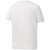 koszulka Reebok Classics Big Logo Graphic DH1345