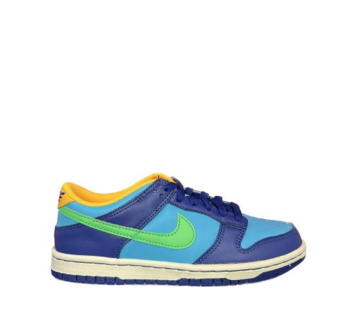 Nike Dunk Low DV1693 401 